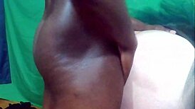 Troy NY Thot Fairy Visits Purple King