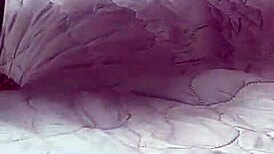 My hot ebony arab wife screams as huge cock fucks big ass