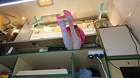 hot 18yo's upskirt flashes her sexy ass on hidden cam at work