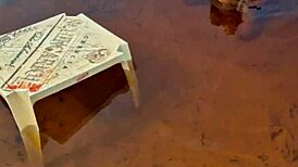 ever caught a gay couple bareback fucking big asses outdoors in the mangroves?