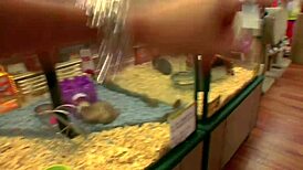 bold milf fucking with big tits deepthroat titty fuck anal assfucking doggystyle bent over gaping asshole lingerie stockings fishnets heels bed