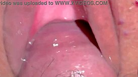 Shaved Japanese virgin pussy takes first cock Christmas closeup