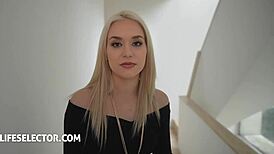 Fucking Your Saucy Office Harem Sasha Rose Karina King Barbie Brill