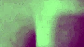 Puta Latina Bent Over Doggystyle Ass Pounding Homemade Whore