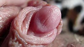 clitoris reaches intense orgasm in homemade amateur closeup
