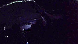 Angie fat bbw whore candid car blowjob creampie