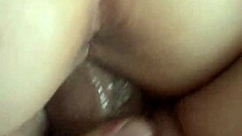 Princessmofo heads to pound town riding cowgirl on massive amateur challenges in intriguing style