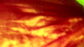 stepdad shocked discovering latina fuck doll at home