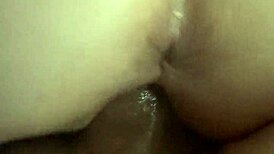 Princessmofo heads to pound town riding cowgirl on massive amateur challenges in intriguing style