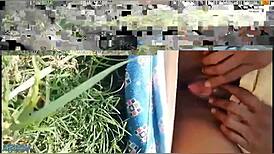 desi bhabhi fingers her wet pussy in wheat fields then gets fucked hard village style