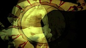 vintage retro hairy erotic art from antique collections unveiled