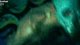 Intriguing Secrets of Artificial Limbs Revealed