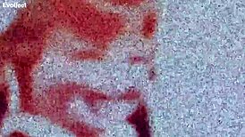 Intriguing Secrets of Artificial Limbs Revealed