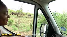 Cute ebony girlfriend deepthroats black cock on pov road trip