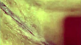 Big Tits Big Ass Black Babes Suck Monster BBC Cumshots