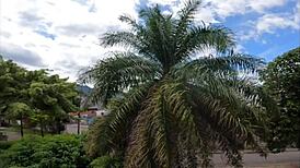 i finally see my stepsister after so long squeezing that white booty she changed quick