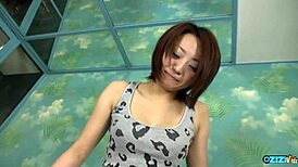 DRILL THIS HAIRY ASIAN SNATCH AFTER VIBRATOR FINGERING TREATMENT!