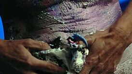 I love getting messy with birthday cake all over my milf tits