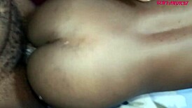 पारदर्शी