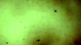 indonesian babe quick fucks before husband arrives home