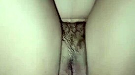 indonesian babe quick fucks before husband arrives home