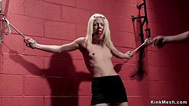 little blonde with tiny tits gets gagged hogtied and roughly anal toyed while choking on dildo