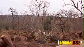 Black Masters' Bound Ebony Slave Filled with Group Cum