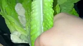 saudi virgin teen's food fetish masturbation shocks beverly hills