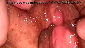 amateur shaved pussy closeup 132 days post virginity