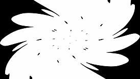 i'm like teachin' me how ta blow jackie banes gaggin' on that deepthroat latex