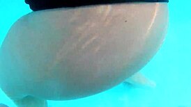 husband films wife's pool fantasy in the country ranch