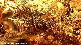 see lynn drew gape wide from intense 3-on-1 anal destruction?