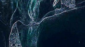 whoa, club lights flash on this rimjob and blowjob ass worship dancing! 🔥🍑