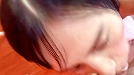 candyboom kneels and sucks cock looking at camera just for fans