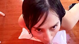 candyboom kneels and sucks cock looking at camera just for fans