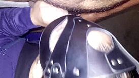 slut takes cock in backyard as cars pass by?