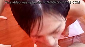 candyboom kneels and sucks cock looking at camera just for fans