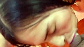 candyboom kneels and sucks cock looking at camera just for fans