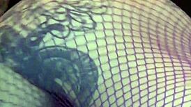 Kyoho Grapes Season 4 International Amateur Showcase