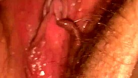 suckslut 13 devours cocks licks cunts in crazy sucking frenzy