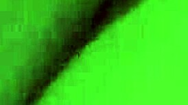 my amazing journey discovering vietnam's asian culture