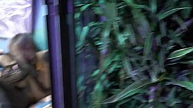 i crave sharing my wife in wild cuckold games