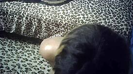 behind the scenes i suck cock in glasses as pornstar vs ebony babe wrestling sex