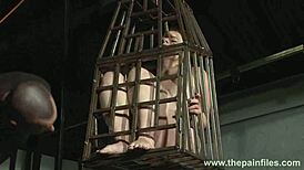 Submissive babe isabel dean locked in cage for feet bastinado whipping bondage punishment fetish bdsm slave style.