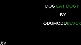 nigerian ebony babes fuck wildly different