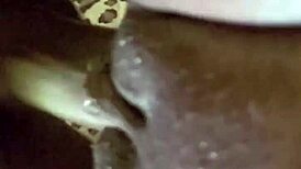 mrnomercy demolishes that pussy god i'd pay to get wrecked daily