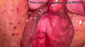 Amateur's pink pussy looks so fresh just 113 days after losing her virginity for the first time