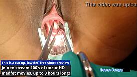 dr tampa's tampa university entrance physical uncovers lotus lain's hidden secrets