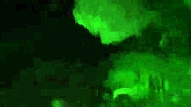 cute jungle whore friend bends for wild forest ass fuck