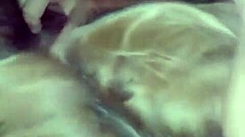 kimberly pratts shemale crossdresser travesti fucks her facebook boyfriend